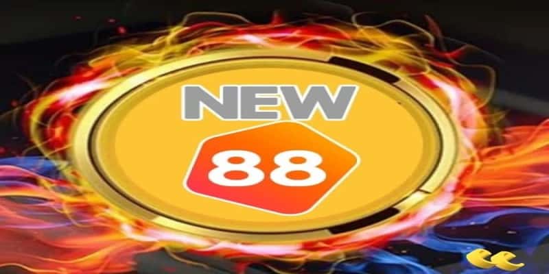 Nhà cái New88 sở hữu lượng người chơi game đánh bài online cao nhất 2022