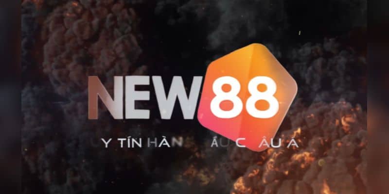 Nhà cái New88 sở hữu số thành viên đáng ngưỡng mộ