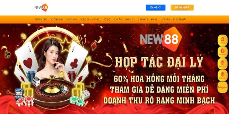 New88 soi có gì hấp dẫn