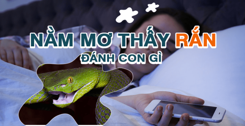 Giấc mơ thấy rắn nên đánh số đề