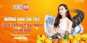 Hướng dẫn chi tiết cách chơi xếp bài nhện tại New88