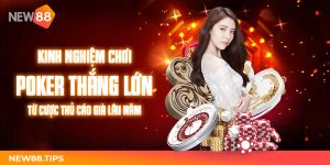 Kinh nghiệm chơi Poker thắng lớn từ cược thủ cáo già lâu năm