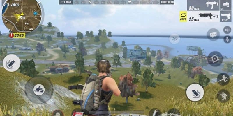 Bí quyết chơi Rules of Survival chiến thắng nhanh chóng