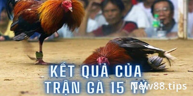 Kết quả chung cuộc của trận gà 15 tỷ